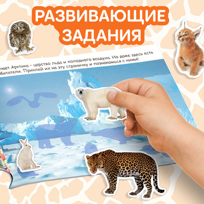 Наклейки детские «100 наклеек. Животные со всего света», 12 стр.