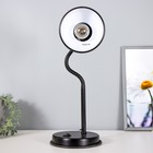 Светильник настольный НТ 2077А (220 В ЛН Е27) черный - фото 31762915