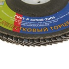 Круг лепестковый шлифовальный "ПРАКТИКА", 125х22 мм, Р60, 1шт - Фото 2