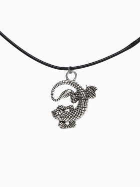 Кулон на шнурке «Ящерица», цвет чернёное серебро на чёрном шнурке, 40 см  (артикул 2540811)  большой выбор товаров оптом и в розницу по низким ценам с доставкой