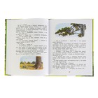 Винни-Пух. Дом на Пуховой Опушке. Милн А. - Фото 4