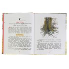 Винни-Пух. Милн А. - Фото 3