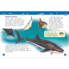 Энциклопедия для детского сада «Подводный мир» - фото 24546359