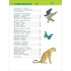 Энциклопедия для детского сада «Удивительные животные» - фото 3806471