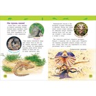 Энциклопедия для детского сада «Удивительные животные» - фото 3806473