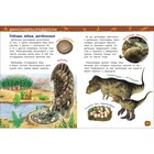 Энциклопедия для детского сада «Динозавры» - фото 3806476