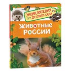 Энциклопедия для детского сада «Животные России» - фото 8601786