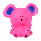 Резиновая игрушка для ванны «Мышонок», 9 см, с пищалкой, цвет МИКС, Крошка Я - Фото 6