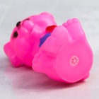 Резиновая игрушка для ванны Крошка Я «Собачка», с пищалкой, 1 шт. - Фото 5