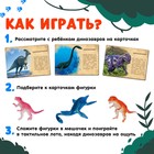 Развивающий набор фигурок динозавров для детей «Древний мир», животные, карточки, по методике Монтессори - фото 3806563