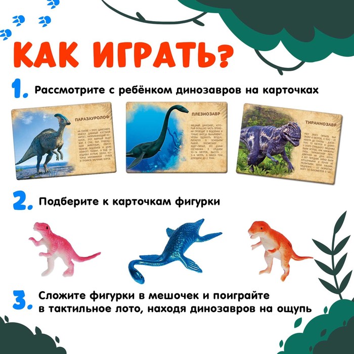 Развивающий набор фигурок динозавров для детей «Древний мир», животные, карточки, по методике Монтессори - фото 1883325641