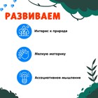 Развивающий набор фигурок динозавров для детей «Древний мир», животные, карточки, по методике Монтессори - фото 3806564