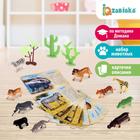 Набор животных с обучающими карточками «Дикие животные разных стран», животные пластик, карточки, по методике Монтессори - Фото 1