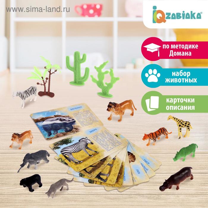 Набор животных с обучающими карточками «Дикие животные разных стран», животные пластик, карточки, по методике Монтессори - Фото 1