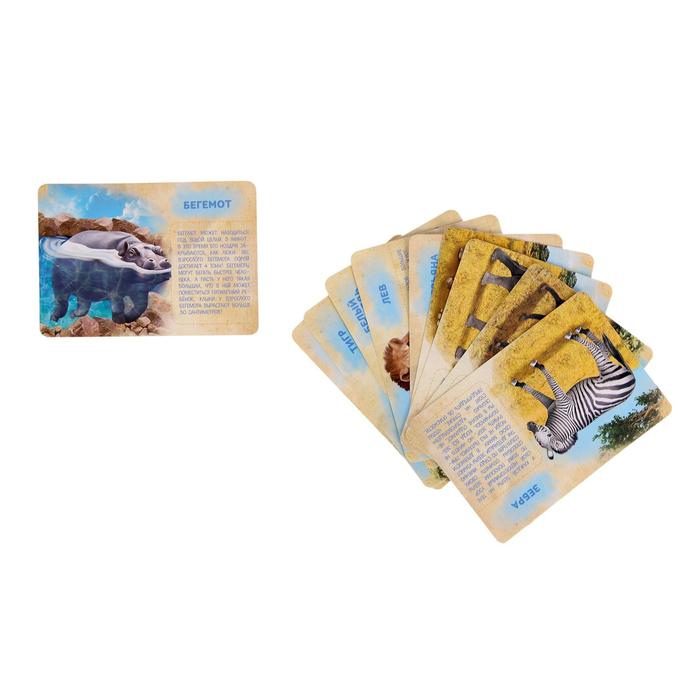 Набор животных с обучающими карточками «Дикие животные разных стран», животные пластик, карточки, по методике Монтессори - фото 1905432856