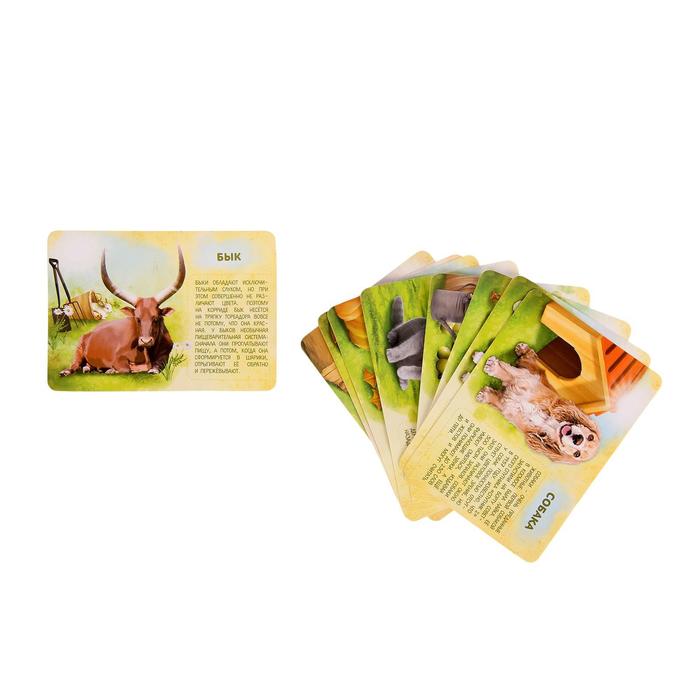 Набор животных с обучающими карточками «Фермерское хозяйство», животные пластик, карточки, по методике Монтессори - фото 1905432860