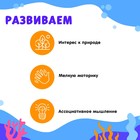 Обучающий набор «Подводный мир», по методике Домана, 12 фигурок, 12 карточек, 3+ - Фото 3