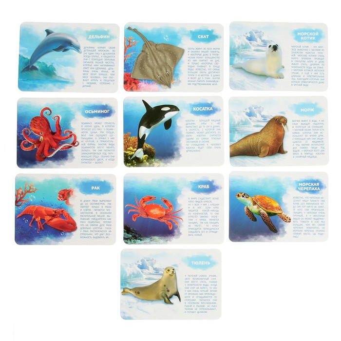 Набор фигурок животных для детей с обучающими карточками «Подводный мир», карточки, по методике Монтессори - фото 1905432865