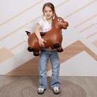 Попрыгун ZABIAKA «Лошадка», 63 х 28 х 50 см - Фото 4