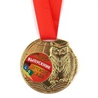 Медаль детская на Выпускной «Выпускник детского сада», на ленте, золото, металл, d = 5 см - фото 10043383