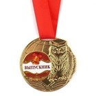 Медаль школьная на Выпускной «Выпускник», на ленте, золото, металл, d = 5 см - фото 8650052