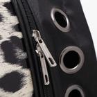 Рюкзак для переноски животных "Леопардовый", с окном для обзора, 32 х 22 х 43 см - фото 8350501