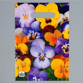 Пакет «Анютины глазки» new, полиэтиленовый с вырубной ручкой, 30 мкм 20?30 см (комплект 100 шт)