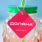 Банка с крышкой и трубочкой Доляна «Ананас», 500 мл, 12.5×9.5×13 см, стекло, МИКС - Фото 9