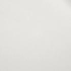 Бумага упаковочная тишью, белый, 50 см × 66 см - Фото 2