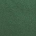 Бумага упаковочная тишью, темно-зелёная, 50 х 66 см - Фото 2
