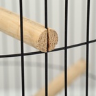 Клетка для корелл круглая «Рио», 40×83 см, микс цветов - Фото 14