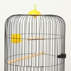 Клетка для корелл круглая «Рио», 40×83 см, микс цветов - Фото 16