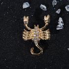 Брошь гороскоп "Знаки зодиака" скорпион, 3 х 2,5 см, цвет белый в золоте - Фото 1