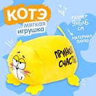 Мягкая игрушка «Приношу счастье», Котэ - фото 20458724