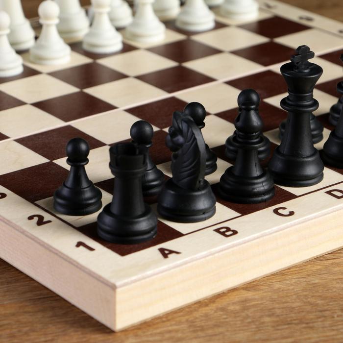 Шахматные фигуры, король h-6.2 см, пешка h-3.2 см, черно-белые - фото 1906882470