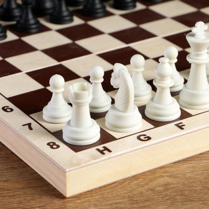Шахматные фигуры, король h-6.2 см, пешка h-3.2 см, черно-белые - фото 1906882471