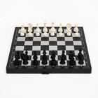 Шахматы магнитные, доска 24.5 х 24.5 см - фото 8350720