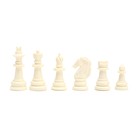 Шахматы магнитные, доска 24.5 х 24.5 см - фото 4580373