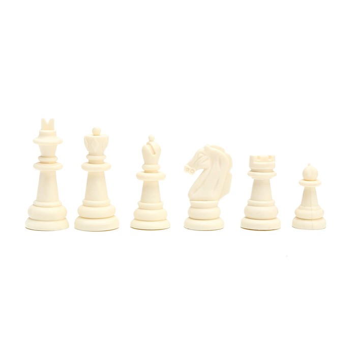 Шахматы магнитные, доска 24.5 х 24.5 см - фото 1906882474