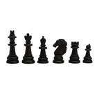 Шахматы магнитные, доска 24.5 х 24.5 см - фото 4580374