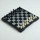 Шахматы магнитные, 19.5 х 19.5 см, чёрно-белые - Фото 1