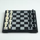 Шахматы магнитные, 19.5 х 19.5 см, чёрно-белые - Фото 3
