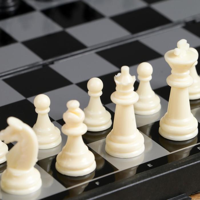 Настольная игра 3 в 1 "Зук": нарды, шахматы, шашки, магнитная доска 24.5 х 24.5 см - фото 1906882527