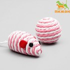 Набор игрушек для кошек: мышь 5 см и шар 4 см, микс цветов - Фото 1