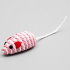 Набор игрушек для кошек: мышь 5 см и шар 4 см, микс цветов - Фото 3