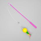 Дразнилка-удочка с легким шариком и перьями, длина ручки 36,5 см, микс цветов - Фото 2