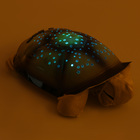 Ночник-проектор Luazon 001 "Черепаха", детский, 4 цвета, музыка, USB, 3хААА, зеленый - Фото 3