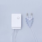 Гирлянда «Нить» 4 м с насадками «Сердце проволока», IP20, прозрачная нить, 20 LED, свечение белое, 8 режимов, 220 В - Фото 6