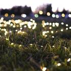 Гирлянда "Нить", 3 м, "Роса", LED-30-6V, (LR2032 2 шт.в комплекте), 1 режим, серебристая нить, свечение тёплое белое - Фото 9