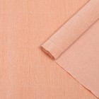 Бумага для упаковок и поделок, Cartotecnica Rossi, гофрированная, розовая, однотонная, двусторонняя, рулон 1 шт., 0,5 х 2,5 м - фото 8603706
